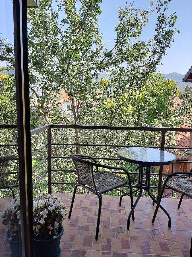 Apartmani Ogi I Ana Bajina Basta Buitenkant foto